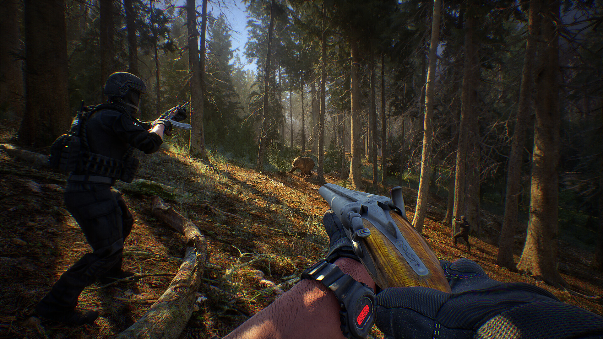 Sunlight through a pine forest where an Operator in black gear aims a shotgun at a wild boar, with a shotgun held in the player's gloved hands.